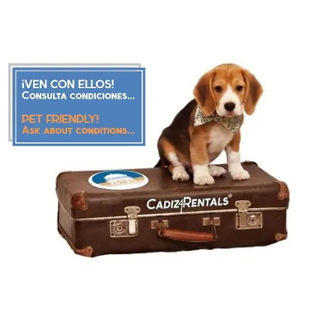 아파트 Velador Del Sur By Cadiz4rentals *